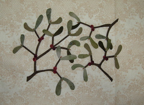 ���h���M���p