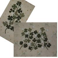 �N���[�o�[