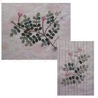 �����Q�\�E