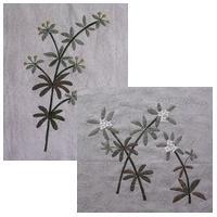 ���G���O��