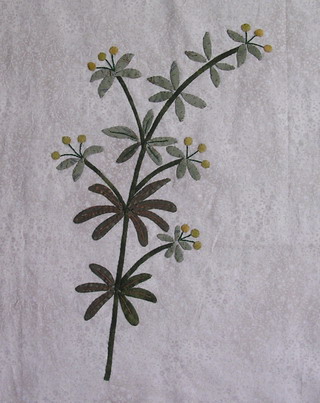 ���G���O����b