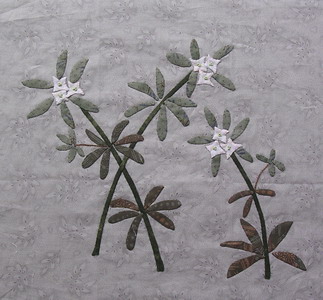 ���G���O�����p