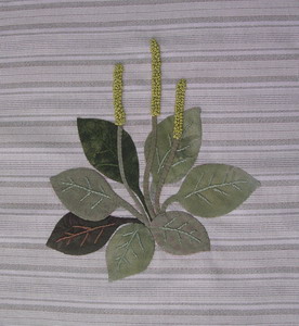 �I�I�o�R��b