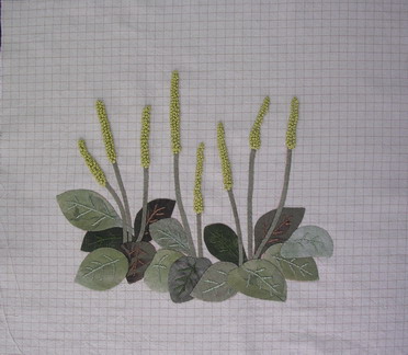 �I�I�o�R���p